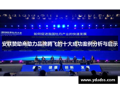 安联赞助商助力品牌腾飞的十大成功案例分析与启示